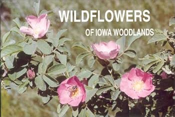 Wildflowers of Iowa Woodlands
