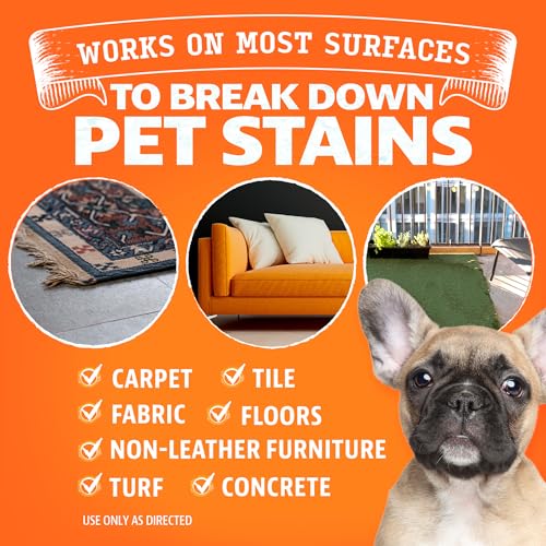 Image of ANGRY ORANGE Stain & Odor Remover - 32oz Pet Urine Enzyme Cleaner - Enzymatic Dog & Cat Pee Destroyer and Odor Eliminator - NEW Orange Rush Scent Cleaning Solution for Home