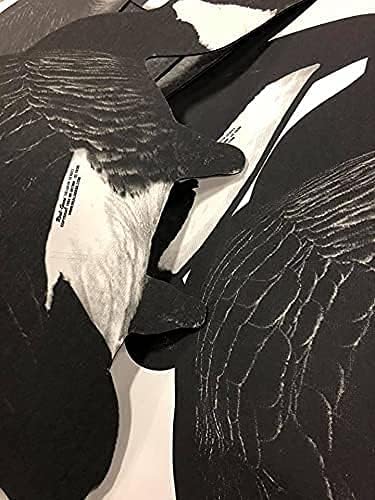 Miniatura 5 de Serie de 3 docenas de sombras señuelos de ganso de silueta económica