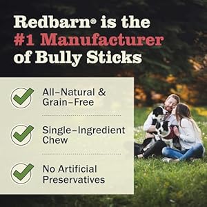 Redbarn-All-Natural-4-5-Bully-Sticks-for-Small-Medium-Dogs-Healthy-Long-Lasting-Chews-Variety-Party-Pack-100-Beef-Single-Ingredient-Low-Odor-Rawhide-Free-12oz-Bag-Packaging-May-Vary - Cucciolini Doodles   Redbarn-All-Natural-4-5-Bully-Sticks-for-Small-Medium-Dogs-Healthy-Long-Lasting-Chews-Variety-Party-Pack-100-Beef-Single-Ingredient-Low-Odor-Rawhide-Free-12oz-Bag-Packaging-May-Vary