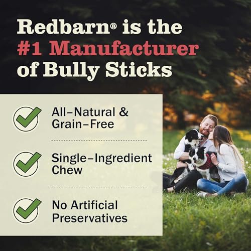 Redbarn-All-Natural-4-5-Bully-Sticks-for-Small-Medium-Dogs-Healthy-Long-Lasting-Chews-Variety-Party-Pack-100-Beef-Single-Ingredient-Low-Odor-Rawhide-Free-12oz-Bag-Packaging-May-Vary - Cucciolini Doodles   Redbarn-All-Natural-4-5-Bully-Sticks-for-Small-Medium-Dogs-Healthy-Long-Lasting-Chews-Variety-Party-Pack-100-Beef-Single-Ingredient-Low-Odor-Rawhide-Free-12oz-Bag-Packaging-May-Vary
