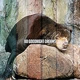睡眠指導記録
