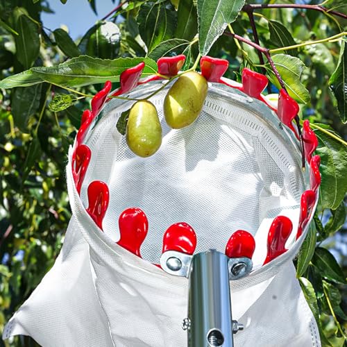 Raccoglitore per frutta con manico telescopico e borsa per raccogliere rami alti