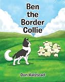 Ben the Border Collie