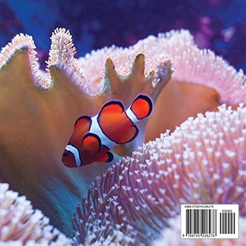 Die Welt Foto Buch: 100 schöne Bilder von Orten und Wundern - Perfektes Geschenk oder Couchtischdeko