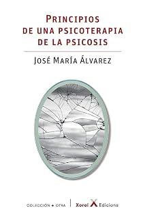 Principios de una psicoterapia de psicosis