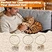 Rosvola Cat Hair Collector Keychain, 3PCS Cat Fur Storage Bottle, Pet Hair Memorial Keepsake, Transparent Pet Memory Capsule, Pet Hair Container for Pet Lovers