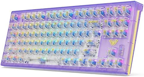 AULA Mechanical Gaming Keyboard, Wireless RGB Gaming Keyboard with Transparent keycaps, Support Hot Swappable and Programmable Macro Functionality, 2.4G & BT5.0 & USB-C, Blue Switch