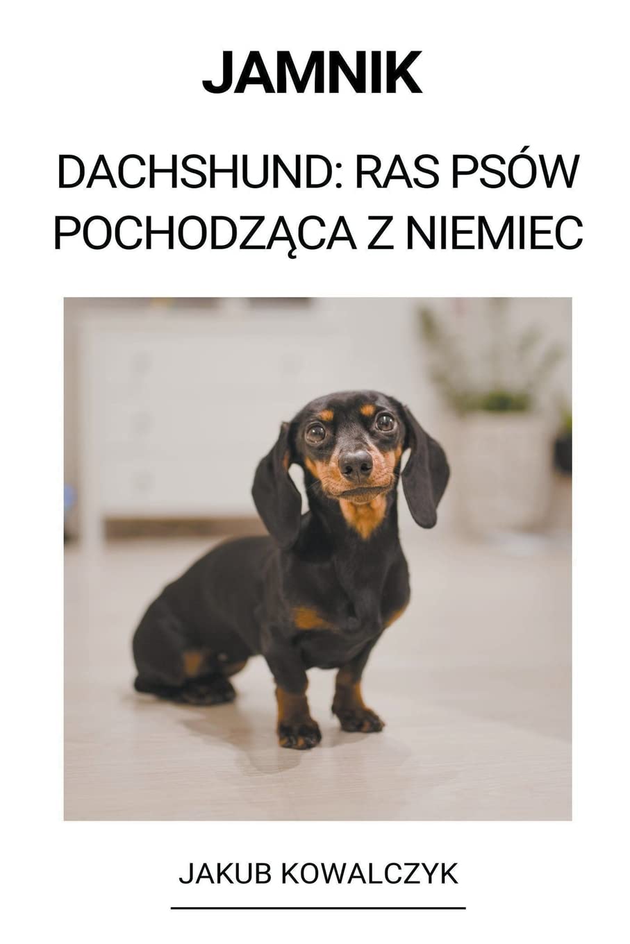 Jamnik (Dachshund: Ras Psów Pochodząca z Niemiec)