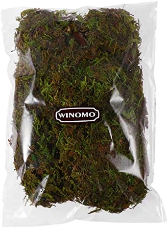 WINOMO Artificial Moss Fake Faux Fresh Green Moss Decorative Fake Bulk Moss for Flower Plant Garden Lawn Crafts Decoration 60g/pack