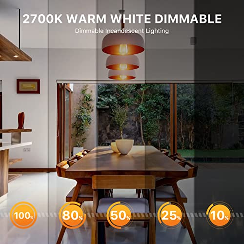 Letaclanic E26 Dimmable Edison Light Bulbs, 6 Pack 40W Amber Warm White 2700K Light Bulbs, Filament Vintage Bulbs Antique Style Incandescent Bulbs St58 Tear Drop Top For Chandeliers Pendant Lighting #TOP3