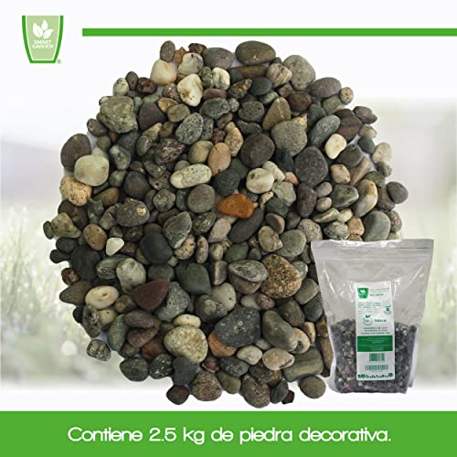 Mejores review On-line Jardineras piedra comprados en linea. 17 Mejores review On-line Jardineras piedra comprados en linea. 17