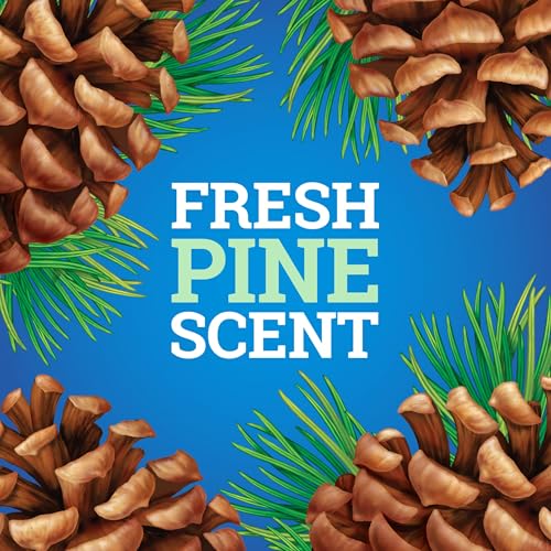 Image of Pine-Sol CloroxPro Multi-Surface Cleaner, Original Pine, 80 fl. oz., 3 Pack