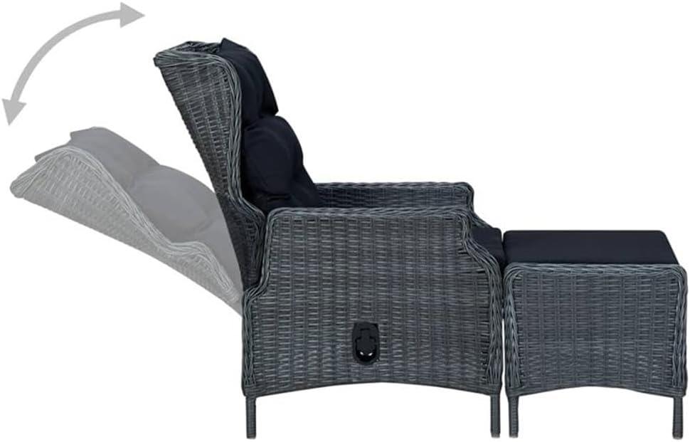 BOWERY HILL Contemporary 9-Piece Synthetic Poly Rattan Outdoor Dining Set, Dark Gray and Acacia Wood, Weather-Resistant, Rectangular Table with Cushioned Chairs for Garden, Patio, Terrace Dining