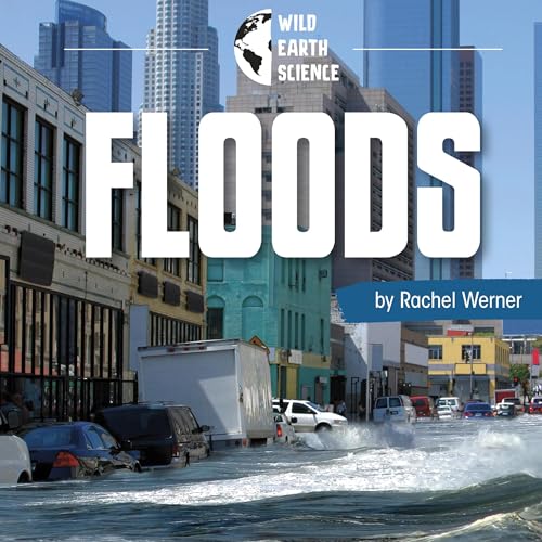 Floods by Rachel Werner episode artwork