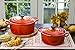 Le Creuset Enameled Cast Iron Signature Round Dutch Oven, 5.5 qt., Flame