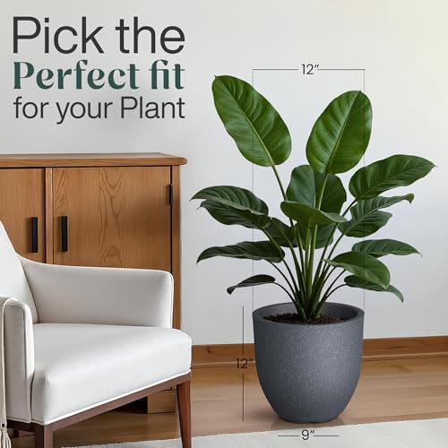 Image of YUCCABE ITALIA FOXB PCUP 12 INCH Pots for Plants Highly Durable Polymers Lightweight Indoor Outdoor Flower Pot Gamla Tree Planter Container Planters for Living Room, Balcony, Garden | Gray