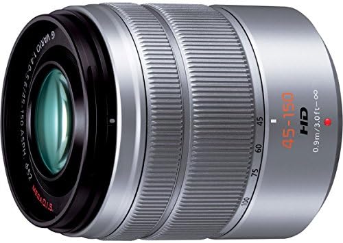 Amazon.com : Panasonic H-FS45150S Lumix G Series Lens (Silver 