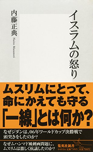 イスラムの怒り (集英社新書)