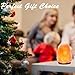 FANHAO Himalayan Salt Lamp with 8 Colors Changing, 100% Natural Crystal Salt Light Glow Hand Crafted Night Light for Lighting, Decoration and Gift