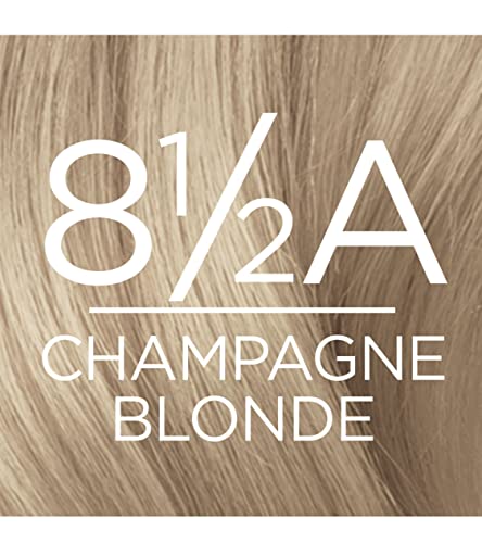 Image of L'Oreal Paris Excellence Creme Permanent Hair Color, Champagne Blonde [8.5A] 1 ea ( Packs of 2)
