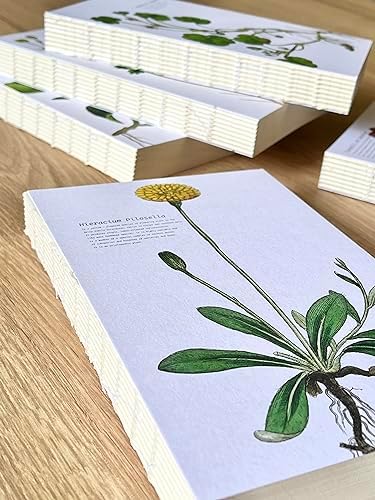 Fark Tanıtım Özel Tasarım Kapaklı A5 Çizgisiz Not Defteri - 180 Derece Açılabilir, Sırtı Dikişli,%100 El İşçiliği, Ofis İçin İdeal, Planlayıcı (Viola Hirta Kapak Tasarımı) - Görsel 4