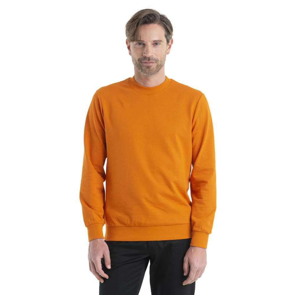 Icebreaker Merino mens Central Long Sleeve Casual Wool Lounge Sweatshirt