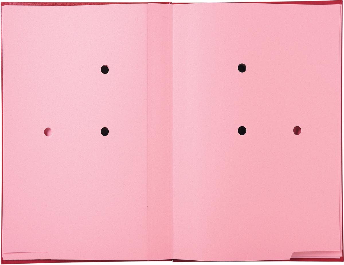 Exacompta - Rif. 57025E - Cartone di 8 paracolpi sterzo - retro a soffietto telato - porta etichetta - copertina plastificata - 20 scomparti in carta rosa con 3 perforazioni - 24 x 35 cm - rosso