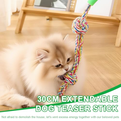 XPEX 1 PCS Reizangel für Hunde - Profi-Spielzeug für Ultimativen Spielspaß und Körperliche Auslastung - Für Kleine,reizangel hunde martin rütter, Mittlere und Große Hunde.
