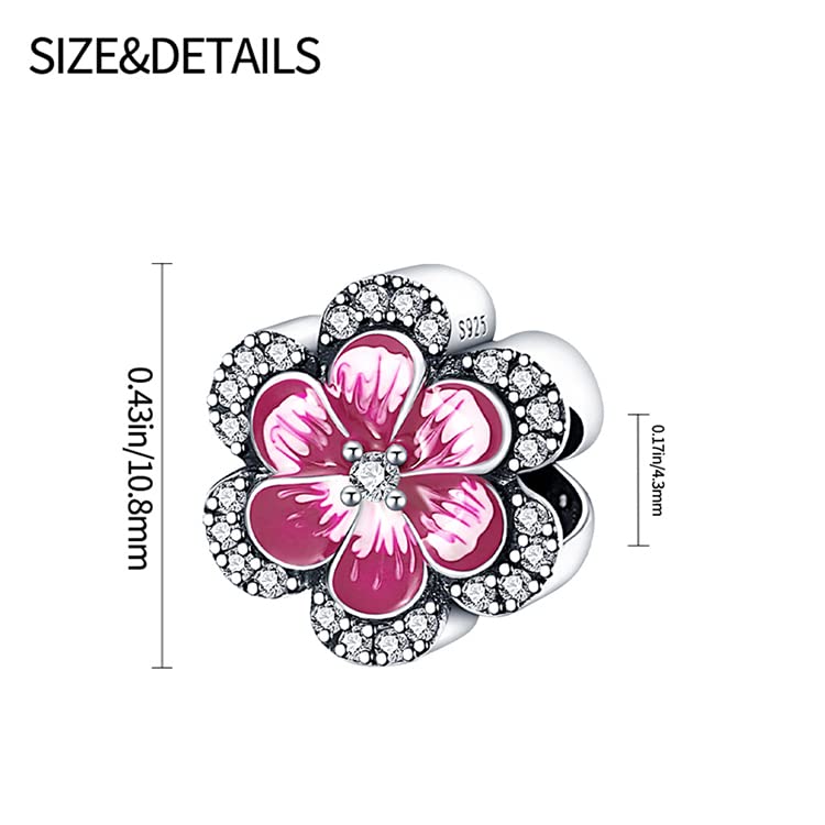 TINSLO Ciondolo Argento Sterling 925 con Cubic Zirconia Pendenti per Pandora Braccialetti, Compatibile con Braccialetti e Collane europei, perfetto Regali per Moglie e Ragazze B3
