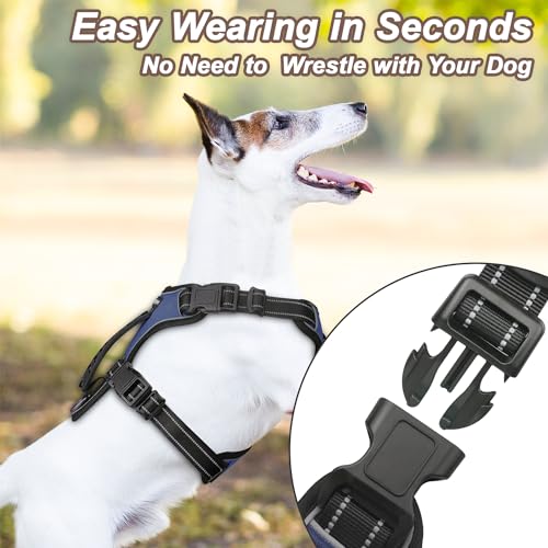 Dog Harness Navy Blue No Pull Y Shaped for Medium Sized Dog, Small to Large Dogs Reflective Adjustable Easy Walk Puppy Harnesses,Heavy Duty Girl Boy Pet Vest 3 Buckle with Handle & Light,M Dog Harness Navy Blue No Pull Y Shaped for Medium Sized Dog, Small to Large Dogs Reflective Adjustable Easy Walk Puppy Harnesses,Heavy Duty Girl Boy Pet Vest 3 Buckle with Handle & Light,M