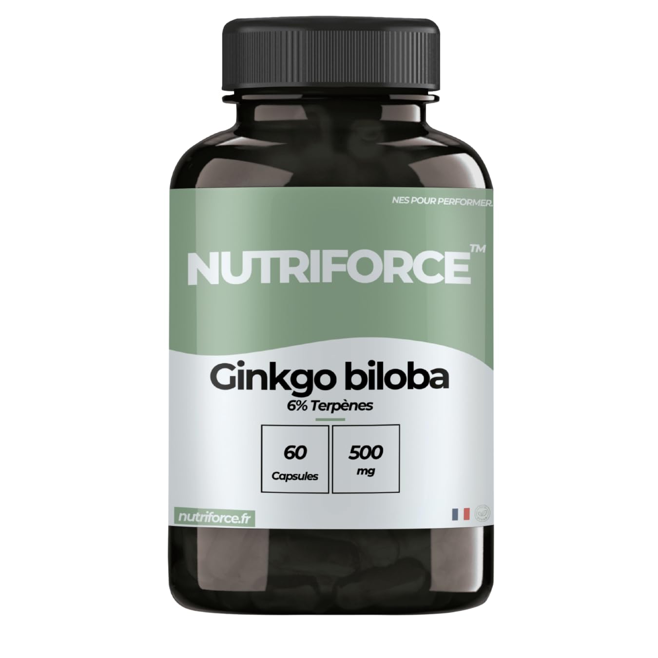 Ginkgo Biloba – Mémoire, Concentration & Circulation Sanguine – 60 Gélules
