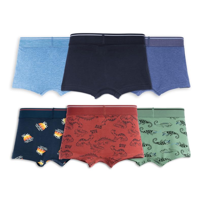 Image of ARIEL Boy's Cotton Multicolor Briefs (Pack of 6)