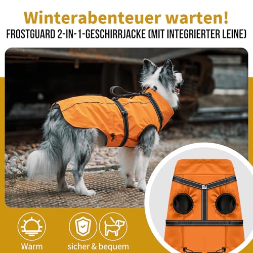 OneTigris Hundejacke, Wasserdichter Winterweste Jacken Hundemantel Mit Bediengriff, Bequeme Ausscheidung, Reißverschluss und Elastisches Design, Einfaches An-und Ausziehen, Reflektierend,M,Orange