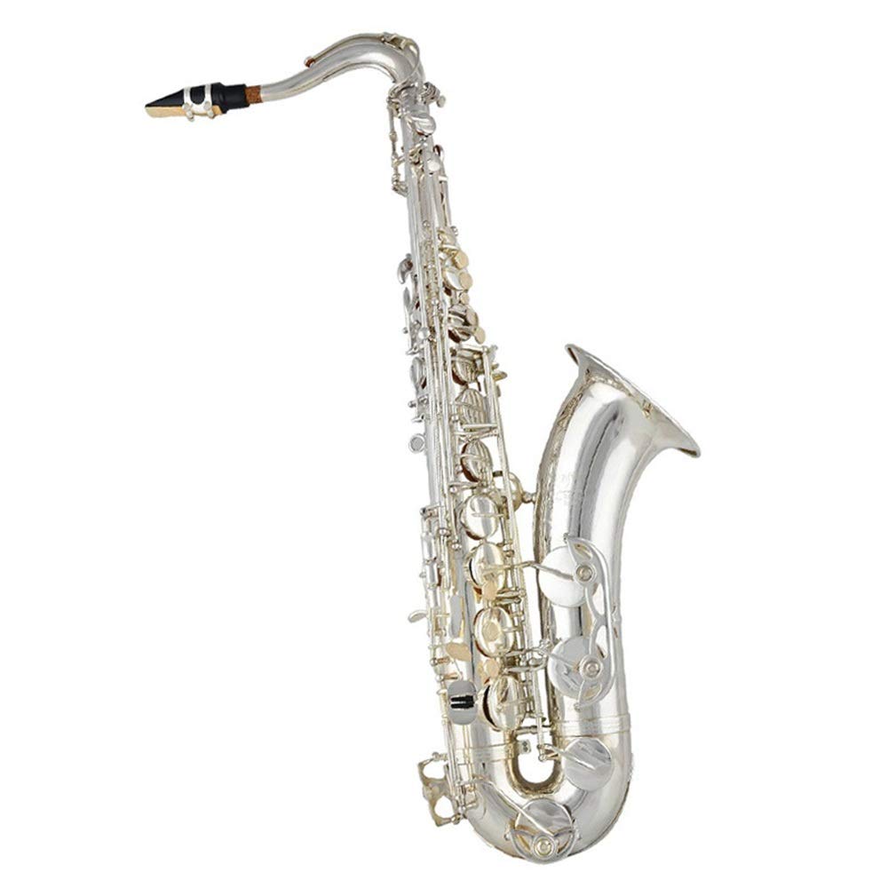 Amazon.co.jp: テナーサックス アルトサックス ケース、マウスピース