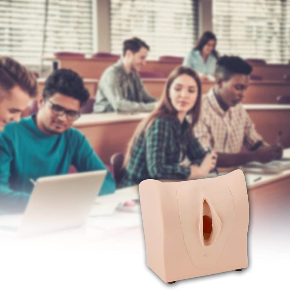 Modello di Guida alla contraccezione Femminile 1:1 Modello didattico per la contraccezione Manichino in PVC Modello didattico per la ginecologia Aiuto alla Formazione educati