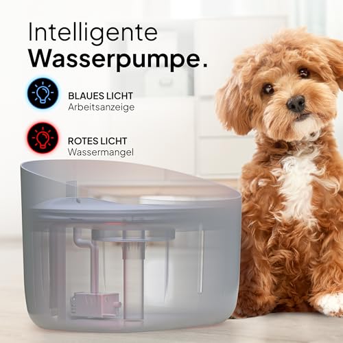 Pretty PAW® Trinkbrunnen für Hunde I Super leiser Hunde Trinkbrunnen mit 7 Liter Wassertank I BPA-freier Hundebrunnen mit Filter & LED I Leicht zu reinigender Dog Wasserspender