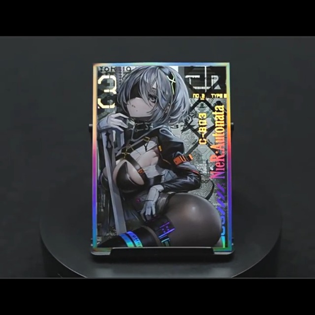 Amazon.com: 60ct (NieR) 67x92mm Holographic Standard Size Cards for MTG/TCG/PTCG  Art Anime Printing Card Sleeves Protectors : Toys & Games