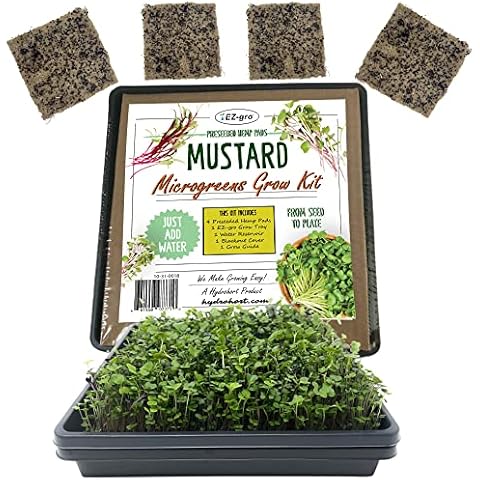EZ-gro Microgreens Growing Kit (Mustard) Pre-Seeded Microgreens Seeds on 4 Grow Mats (5x5) - No Seeding is Required - Kit has a Reusable Self Watering Reservoir Tray and Grow Tray Cover