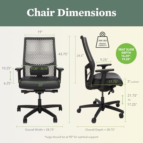 Image of Bundle of HON Ignition 2.0 ReActiv Ergonomic Office Chair with Lumbar Support, Synchro-Tilt Recline, Breathable Flex-Back Support for Office Chair, Black + Carpet Chair Mat (36 inch x 48 inch)