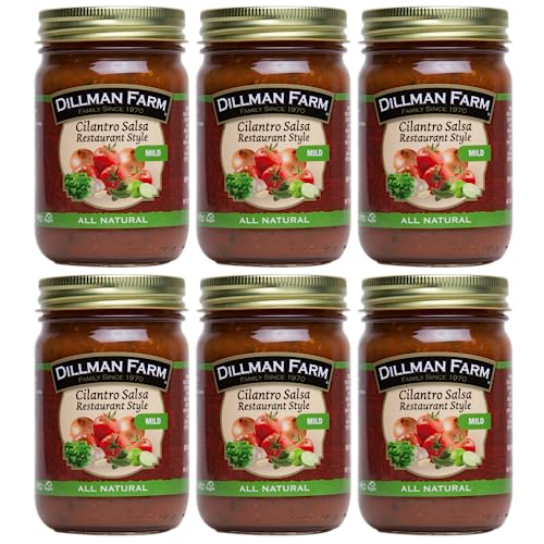 What's The Best Substitutes For Cilantro Salsa By An Expert Glory Cycles