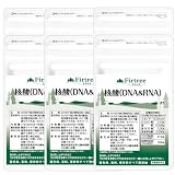 健康応援団 核酸 DNA RNA 抗酸化マルチサプリメント プラス 6ヶ月分 180日分 540粒 6袋 濃縮 エイジングケア 国産 栄養補助食品