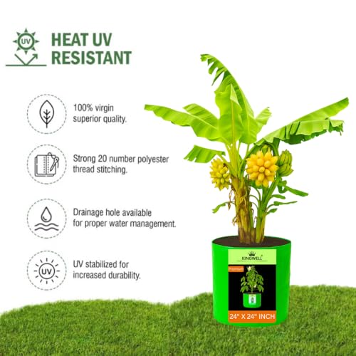 Image of Kingwell grow bags 24X24 inch pack of 5 For Terrace Garden Vegetable Plant Grow Bags Fruits Growing Containers For terrece Gardening