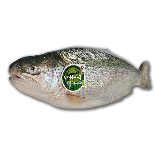 N ڂT[ { 2kg 啪Y {B ( / 3낵) hgp  MtgΉ ① Hp  CNO p