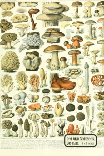 Dot Grid Notebook: Vintage Mushroom Illustrations Dotted Journal | Nature Lover Ephemera Botanical Plants Fungi Foraging Aesthetic | Compact ... College, Journaling, University, Work, Notes image 2
