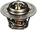 Raypack 006719F Unitherm Governor Capron