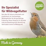 Natürlich Pfiffikus Vogel-Buffet – Fettfutterblock mit Insektenfett für Wildvögel – Vogelfutter Fettblock proteinreiches Ganzjahresfutter– nachhaltig & CO₂-sparend – Energiekuchen für Wildvögel