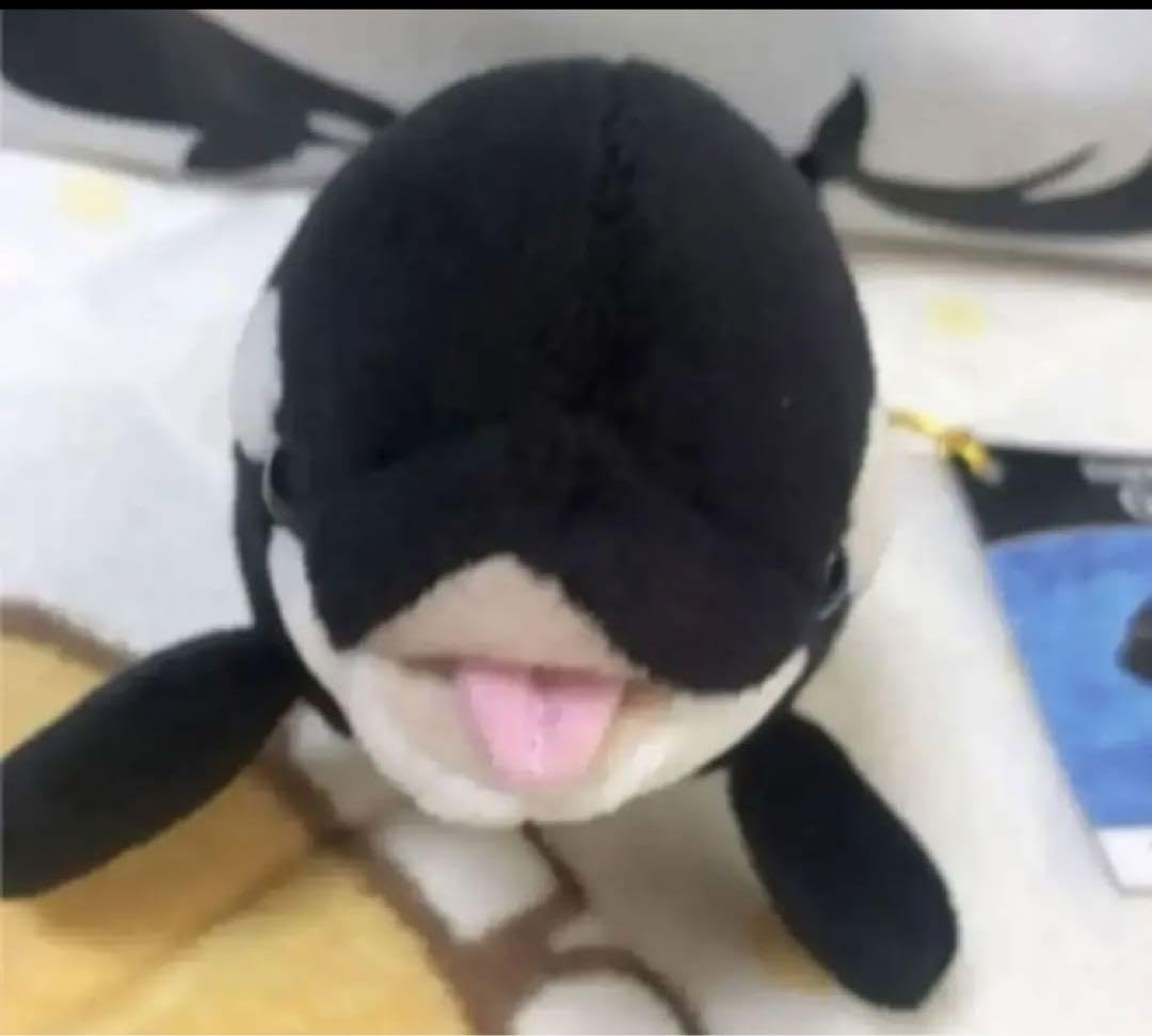 Amazon.co.jp: 名古屋港水族館限定シャチリアルぬいぐるみマスコット