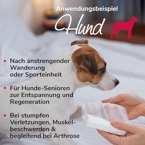HERZENSTIER Arnikawunderwickel für Pferde, Hunde & Katzen – getränkte Bandage mit 100% Arnika – Unterstützung bei Regeneration, Prellungen & Muskelkater – 4 m lang, mehrfach verwendbar