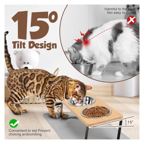 Cuenco elevado para gatos con inclinación de 15° que evita el acné 4